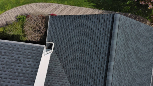 Best Solar Panel Roofing Installation  in Flora, IL